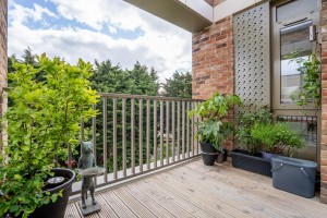Images for Joseph Terry Grove, York