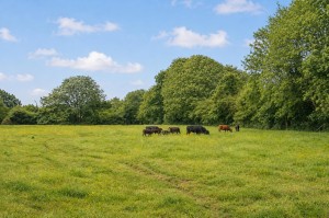 Images for Lowfield Drive, Haxby, York