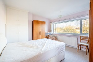 Images for Thornwood Covert, York