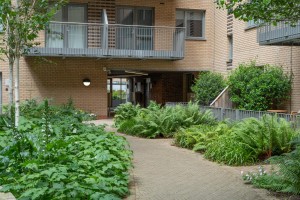 Images for Palmer Lane, York