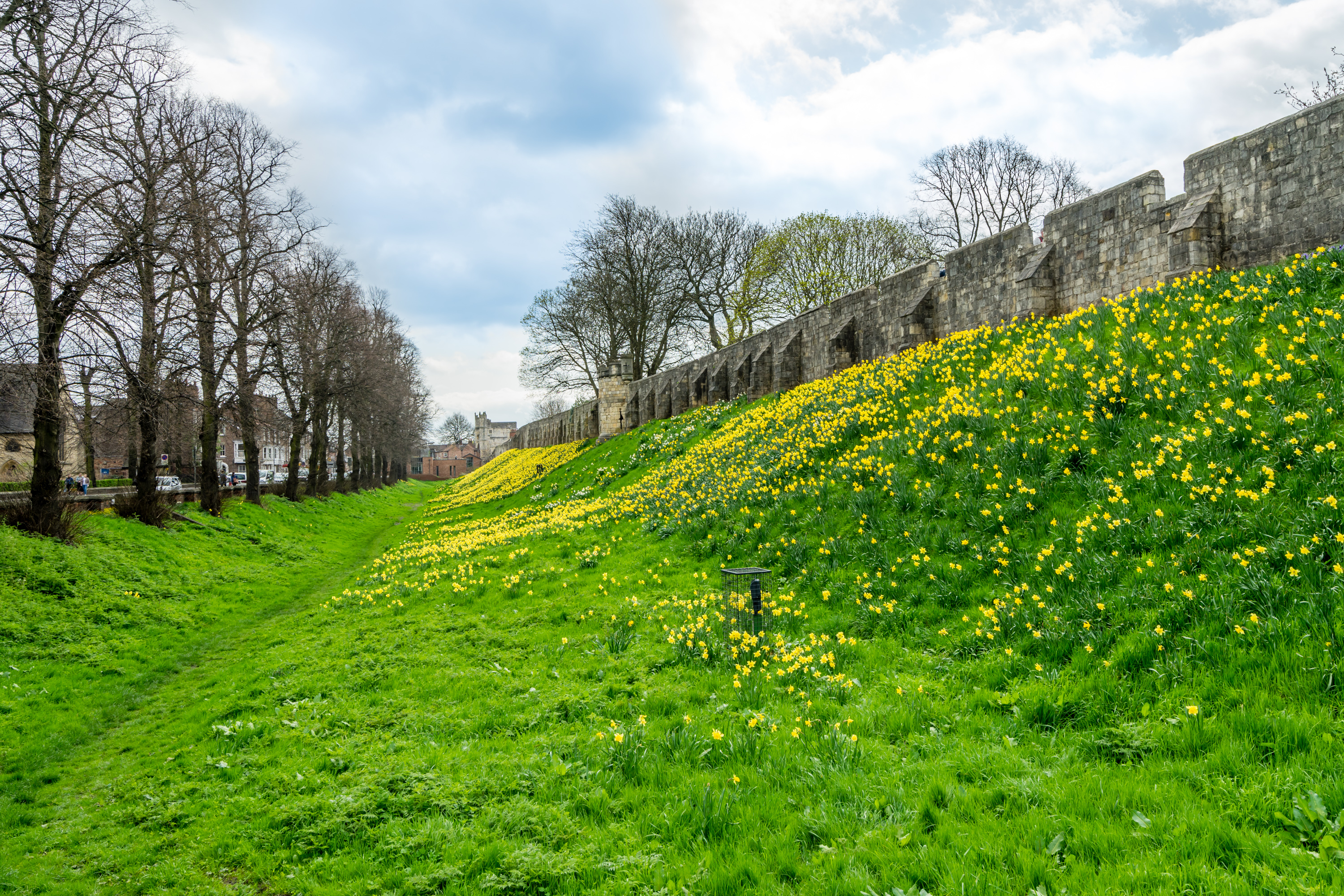  View of the York Walls from a property for sale 